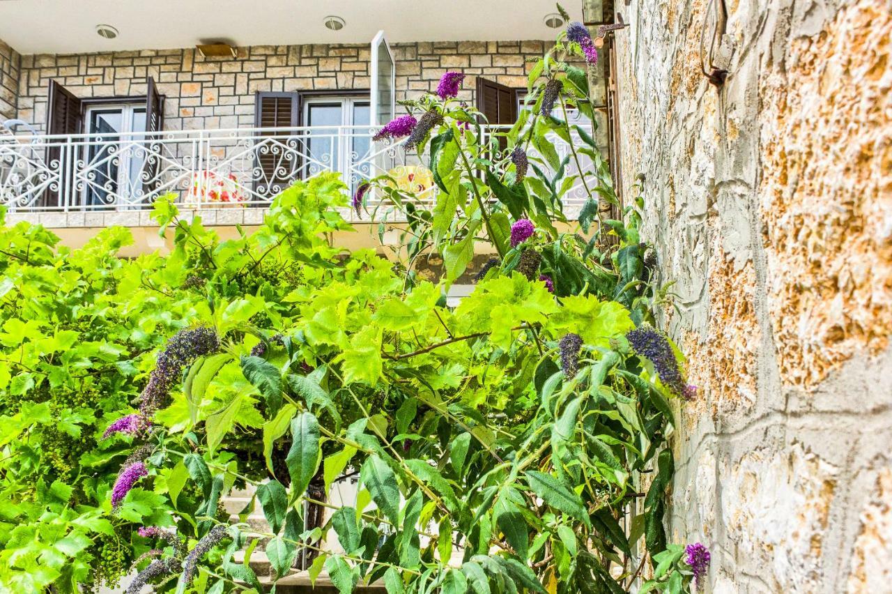 בול Apartments Petra מראה חיצוני תמונה